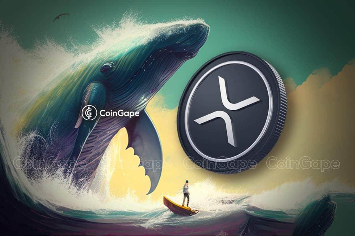 XRP-Whales.jpg