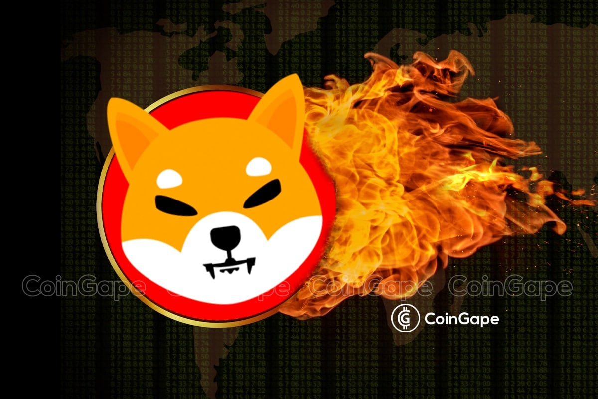 Everything-You-Need-to-Know-About-Shiba-Inu-Burn-Portal.jpg